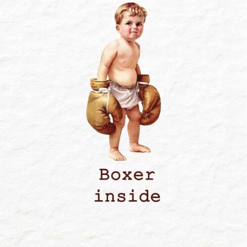 Boxer Inside