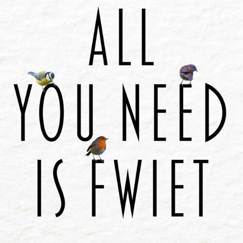 All You Need is Fwiet