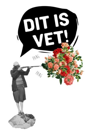 DIT IS VET! (by Hans Maes)
